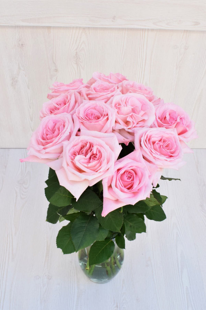 Buy Online High quality and Fresh Pink O'Hara - Greenchoice Flowers