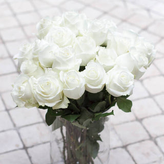 Buy Online High quality and Fresh Polar Star Rose - Greenchoice Flowers