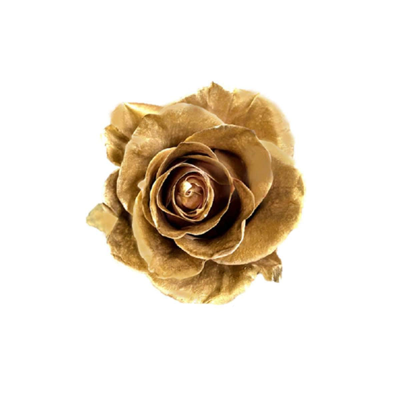 Buy Online High quality and Fresh Rose Metallic Paint Gold - Greenchoice Flowers