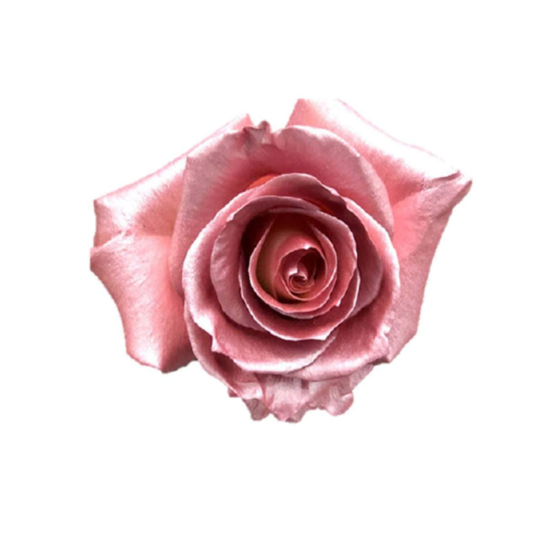 Buy Online High quality and Fresh Rose Metallic Paint Pink - Greenchoice Flowers