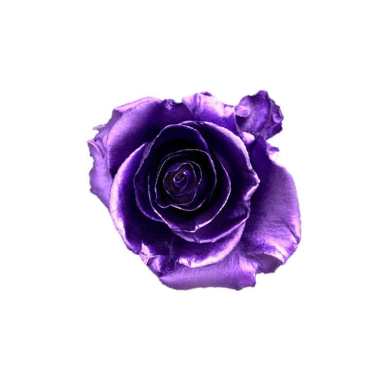Buy Online High quality and Fresh Rose Metallic Paint Purple - Greenchoice Flowers