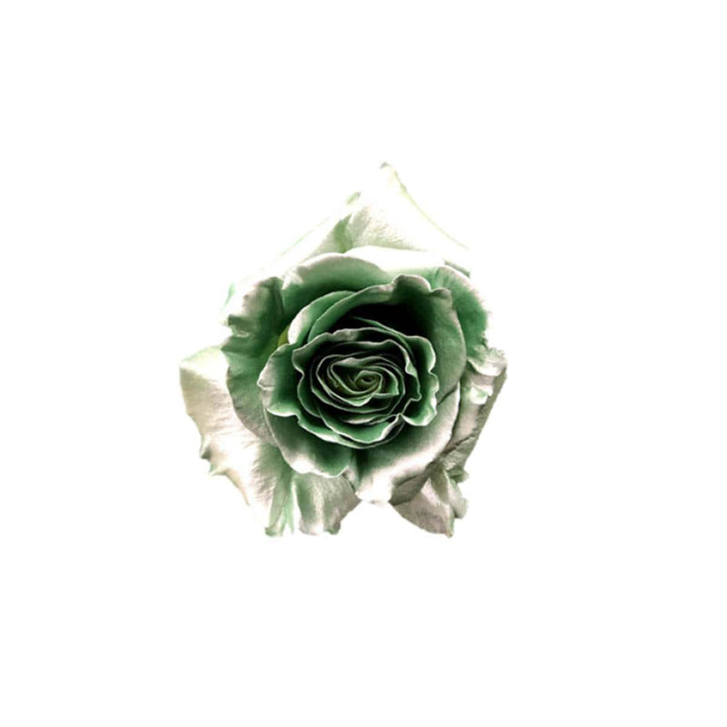 Buy Online High quality and Fresh Rose Metallic Paint Metallic Green - Greenchoice Flowers