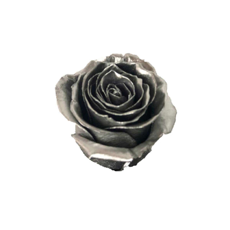 Buy Online High quality and Fresh Rose Metallic Paint Mondial Silver - Greenchoice Flowers