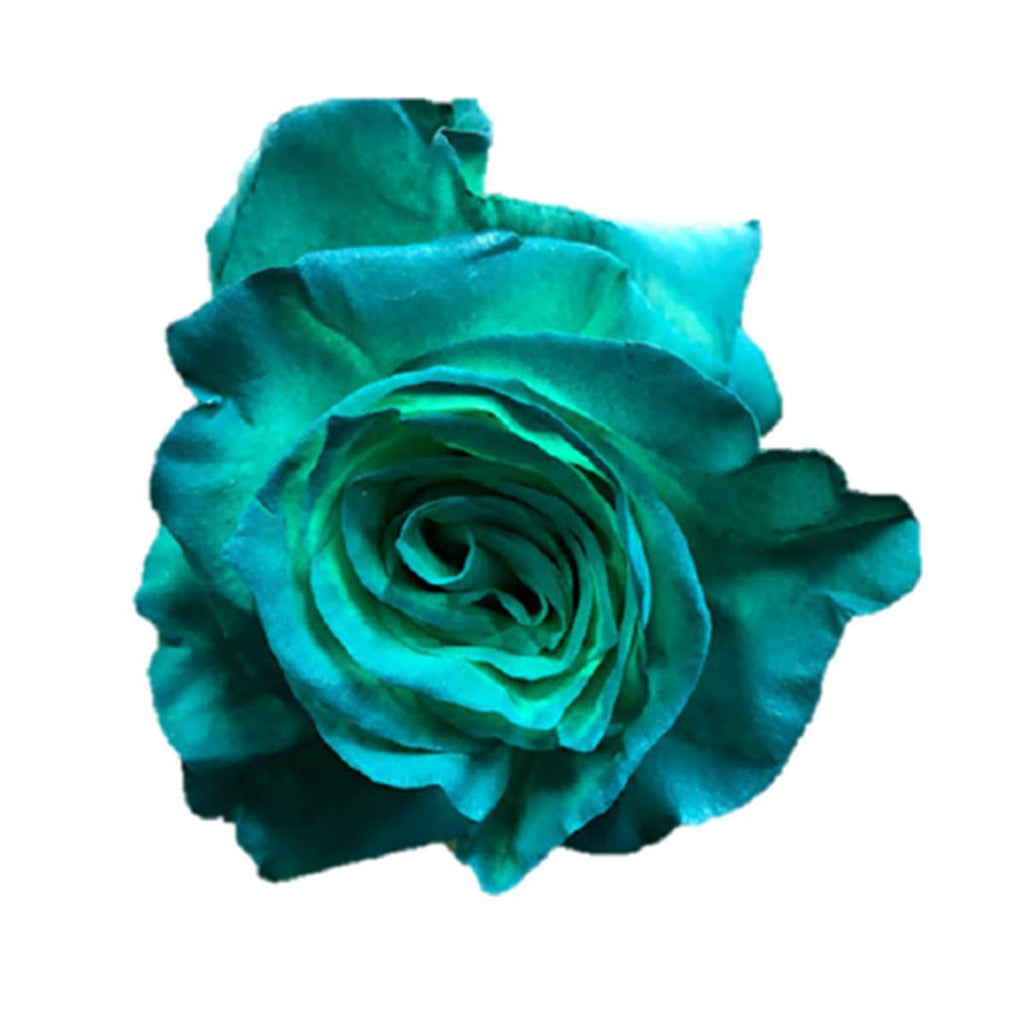 Buy Online High quality and Fresh Rose Tinted Mondial Green Turquoise - Greenchoice Flowers