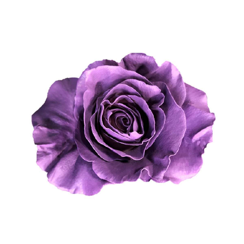 Buy Online High quality and Fresh Rose Tinted Mondial Purple - Greenchoice Flowers