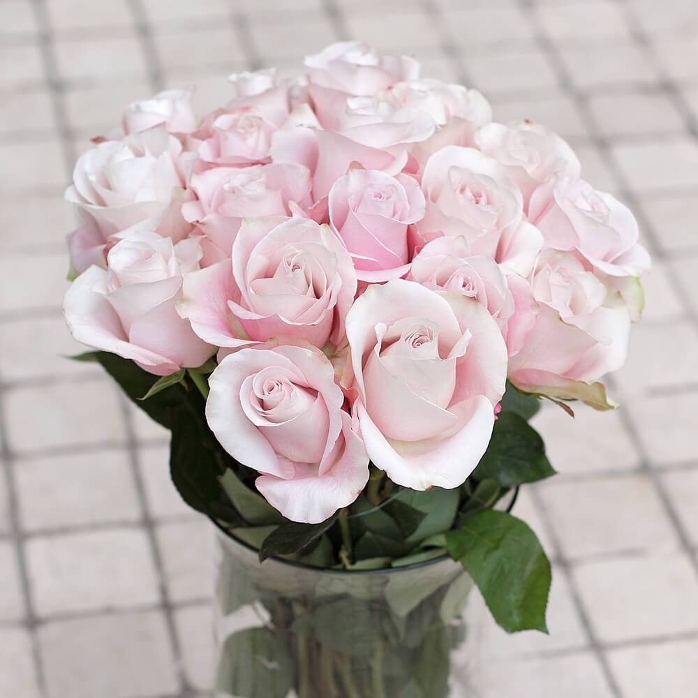 Buy Online High quality and Fresh Light Pink Rose - Greenchoice Flowers