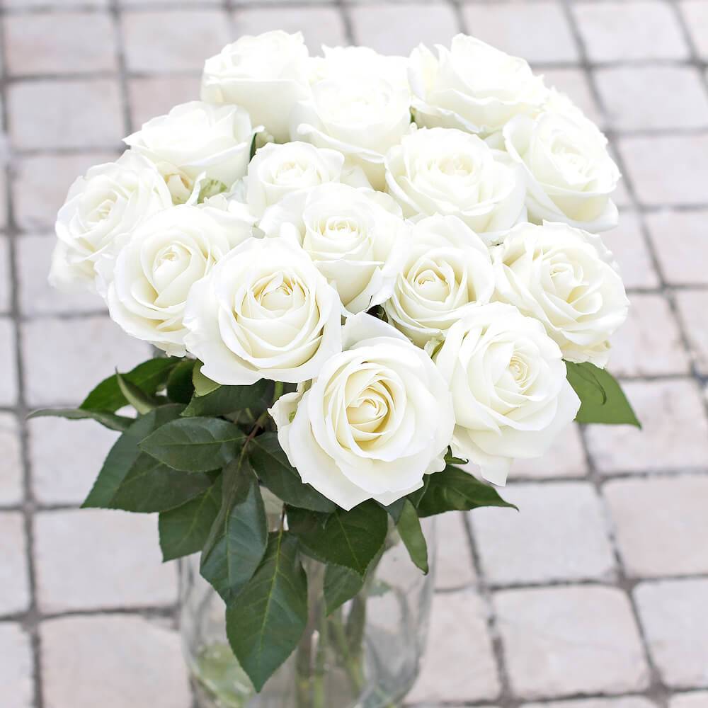 25x Tulipes - Mélange 'Perfect Harmony' blanc-rose