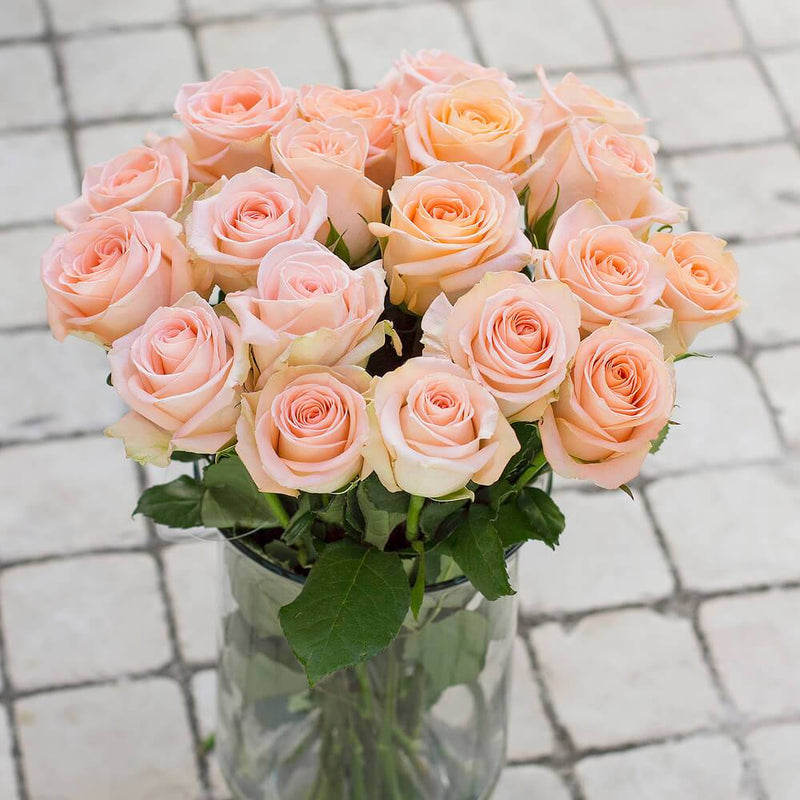 Peach Premium Ecuadorian Rose