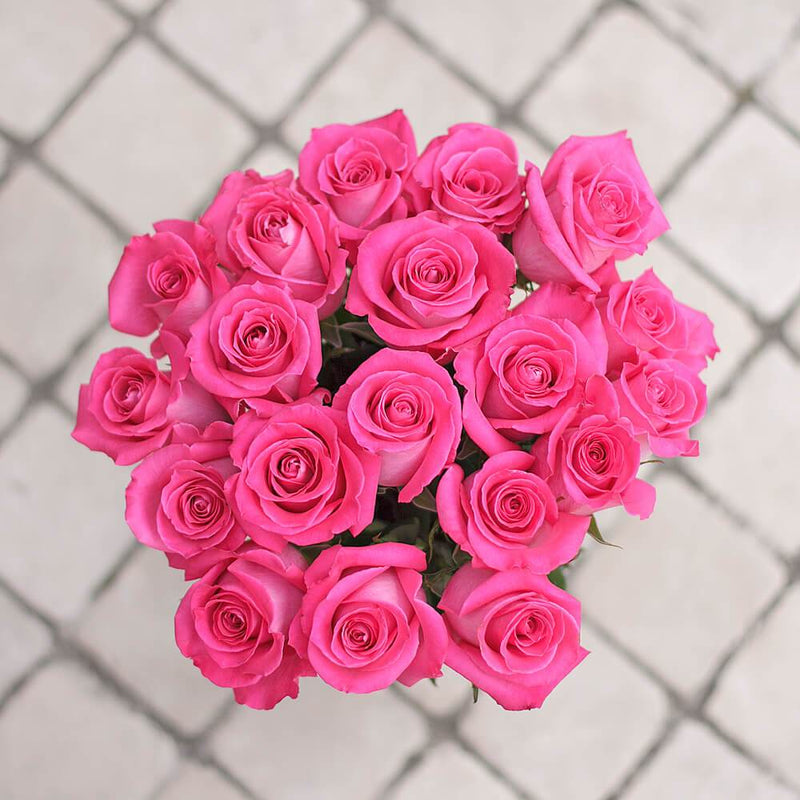 Buy Online High quality and Fresh Pink Rose - Greenchoice Flowers