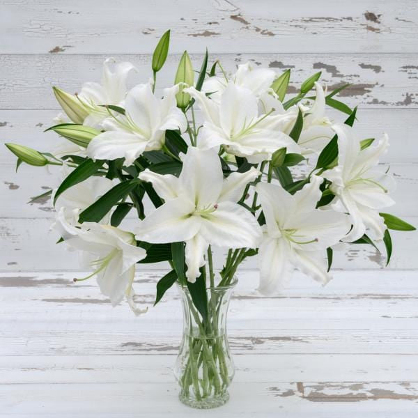 Buy Online High quality and Fresh White Oriental Lilies - Greenchoice Flowers