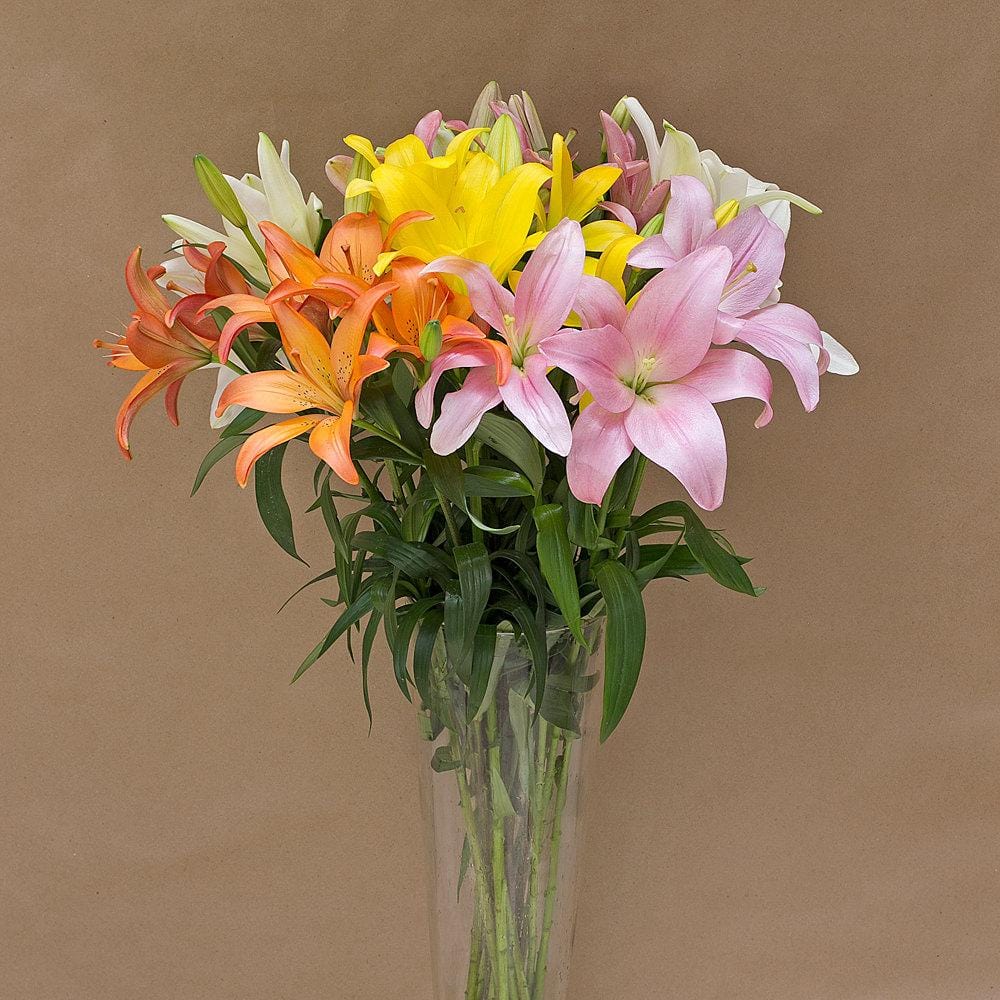 Buy Online High quality and Fresh Assorted Lilies - Greenchoice Flowers