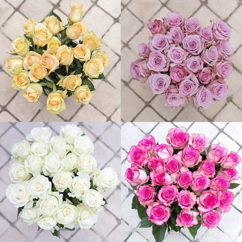 Buy Online High quality and Fresh Assorted Roses - Greenchoice Flowers
