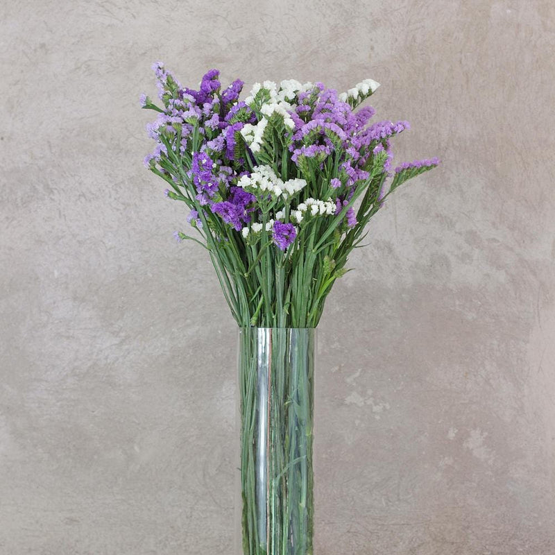 Buy Online High quality and Fresh Statice - Greenchoice Flowers