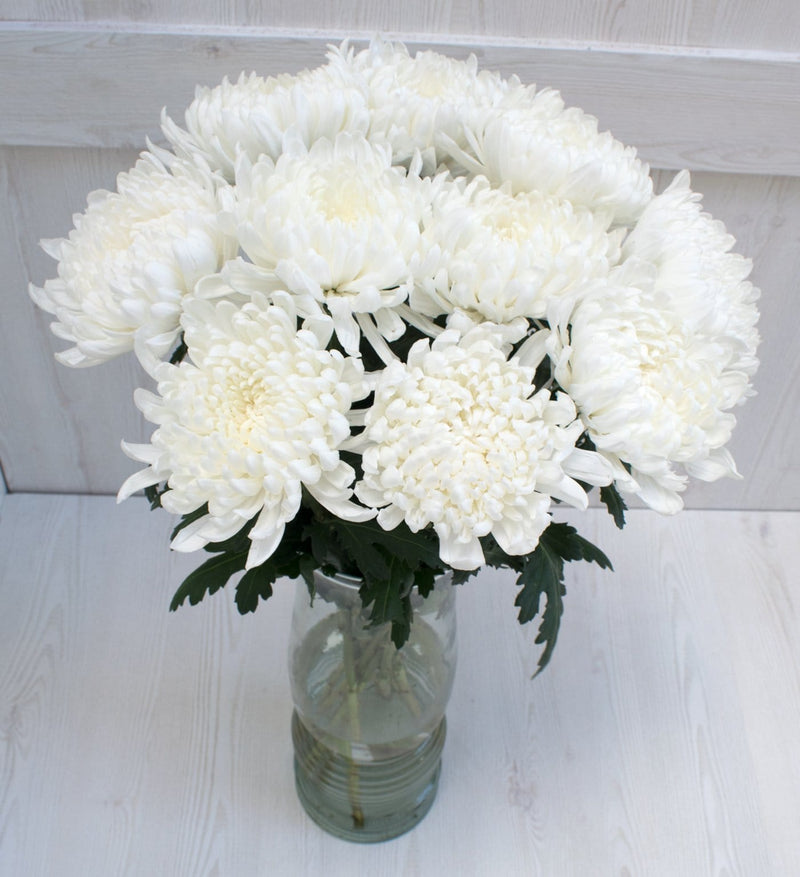 Buy Online High quality and Fresh White Gagarin Cremon - Greenchoice Flowers