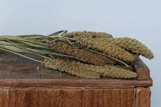 Buy Online High quality and Fresh Highlander Millet - Greenchoice Flowers