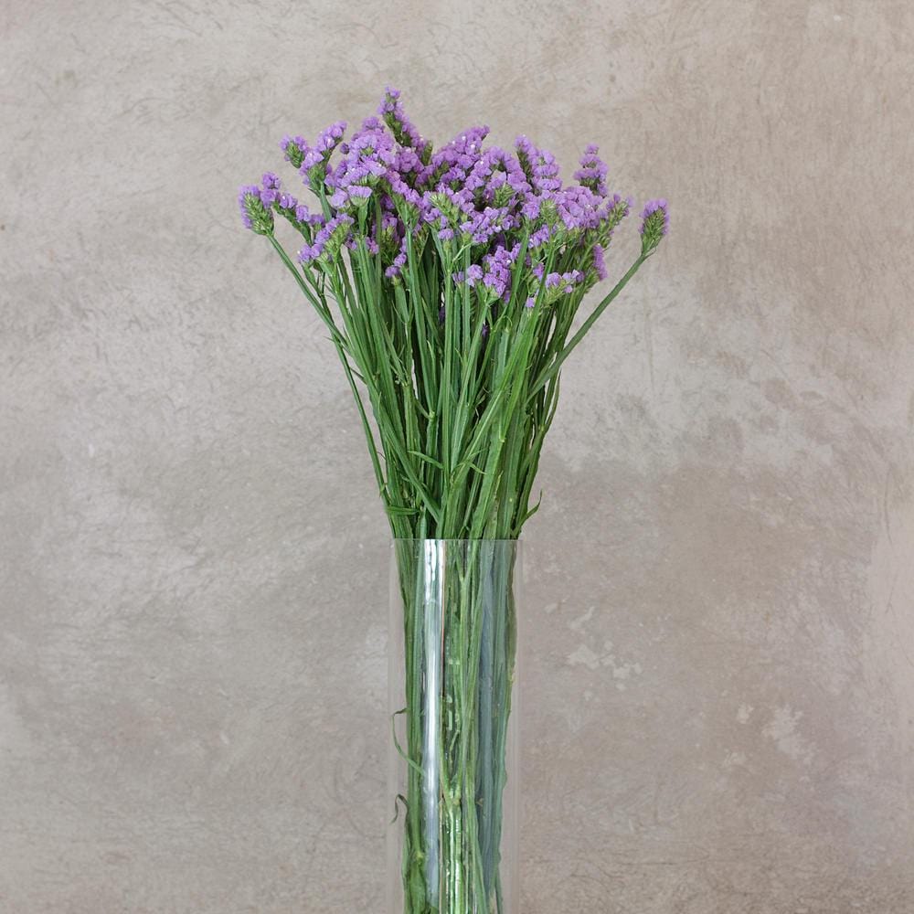lavender fake flower arrangement Lavender Statice Filler Fresh Cut Flower – Greenchoice Flowers
