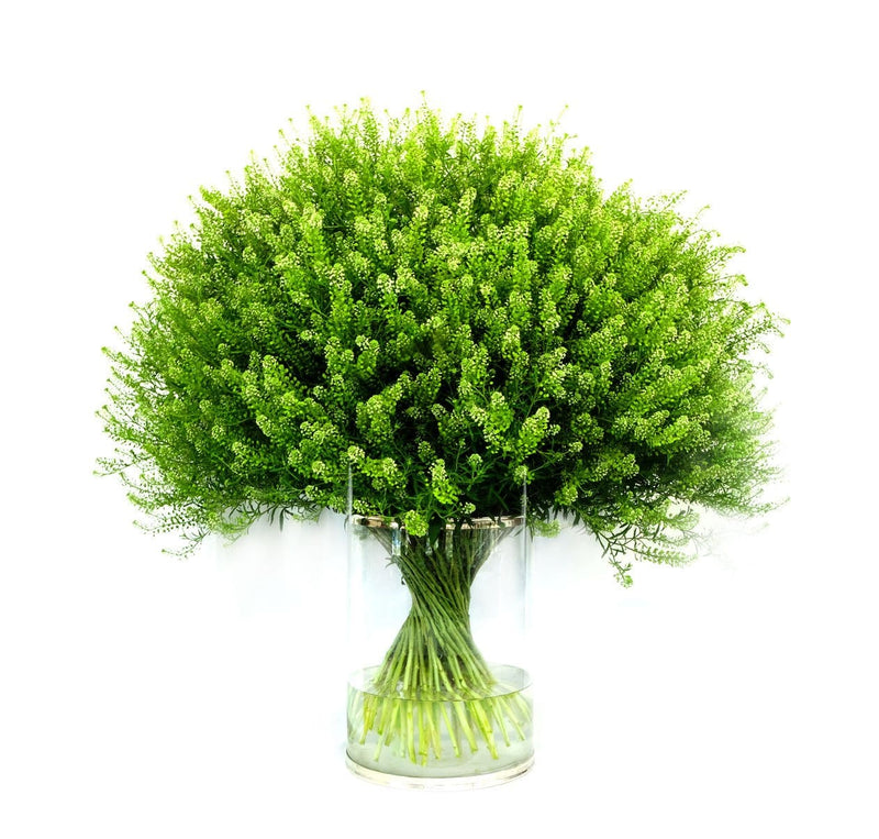 Buy Online High quality and Fresh Lepidium Green Dragon - Greenchoice Flowers