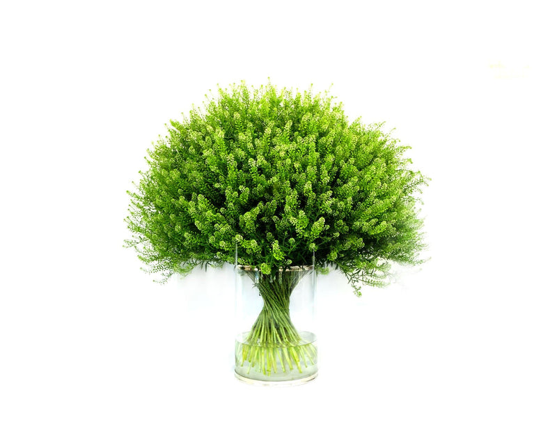 Buy Online High quality and Fresh Lepidium Green - Greenchoice Flowers