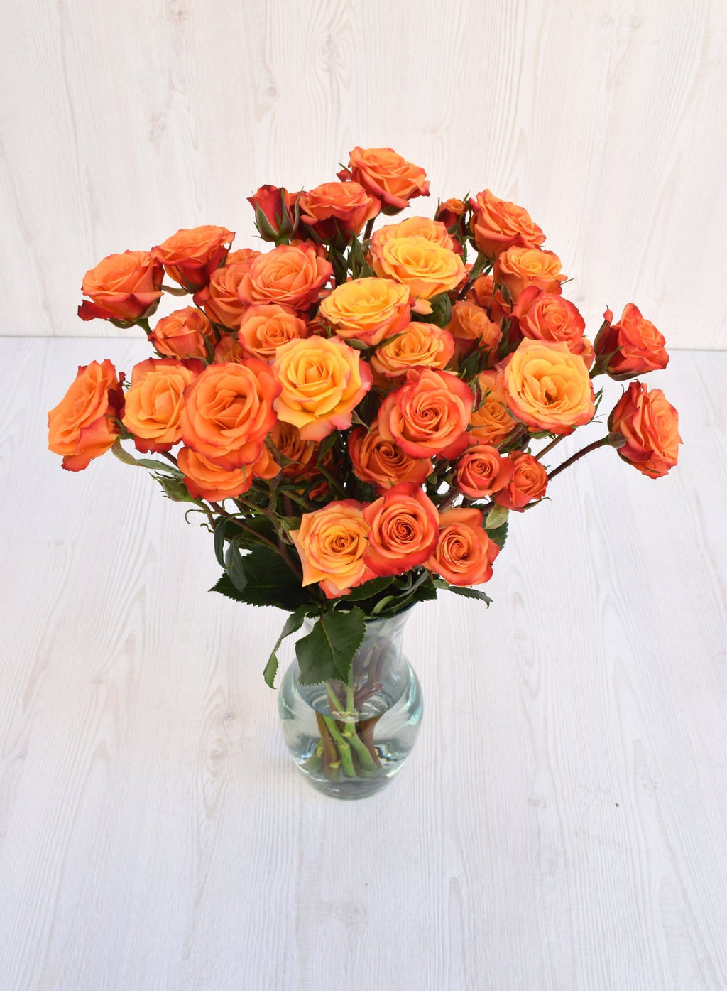 Buy Online High quality and Fresh Mambo Spray Rose - Greenchoice Flowers