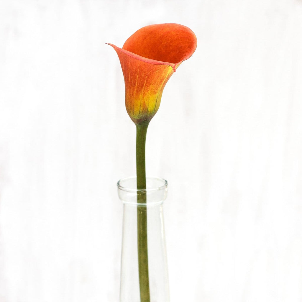Buy Online High quality and Fresh Fall Orange Mini Calla - Greenchoice Flowers
