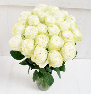 Buy Online High quality and Fresh Moonstone Garden Rose - Greenchoice Flowers