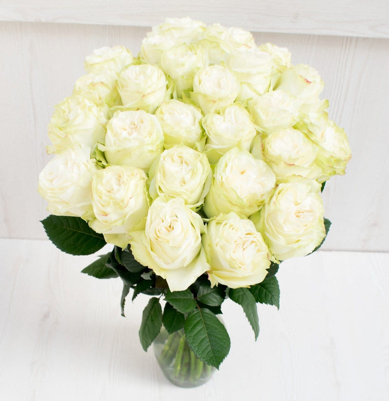 Buy Online High quality and Fresh Moonstone Garden Rose - Greenchoice Flowers