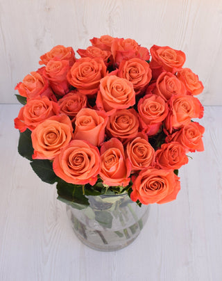 Orange Ecuadorian Rose (Fresh Cut)