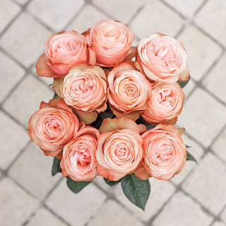 Coral Peach Wedding Ecuadorian Rose (Fresh Cut)