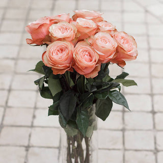 Coral Peach Wedding Ecuadorian Rose (Fresh Cut)