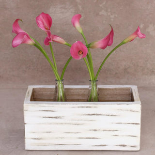 Buy Online High quality and Fresh Light Pink Mini Calla - Greenchoice Flowers