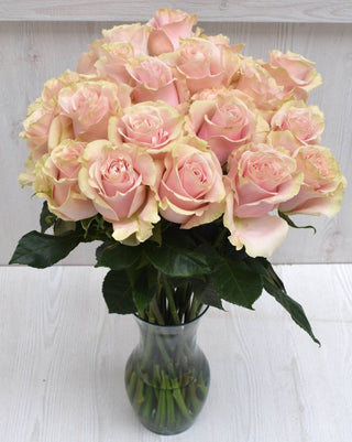 Buy Online High quality and Fresh Pink Mondial Rose - Greenchoice Flowers