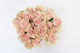 Buy Online High quality and Fresh Pink Mondial Rose - Greenchoice Flowers