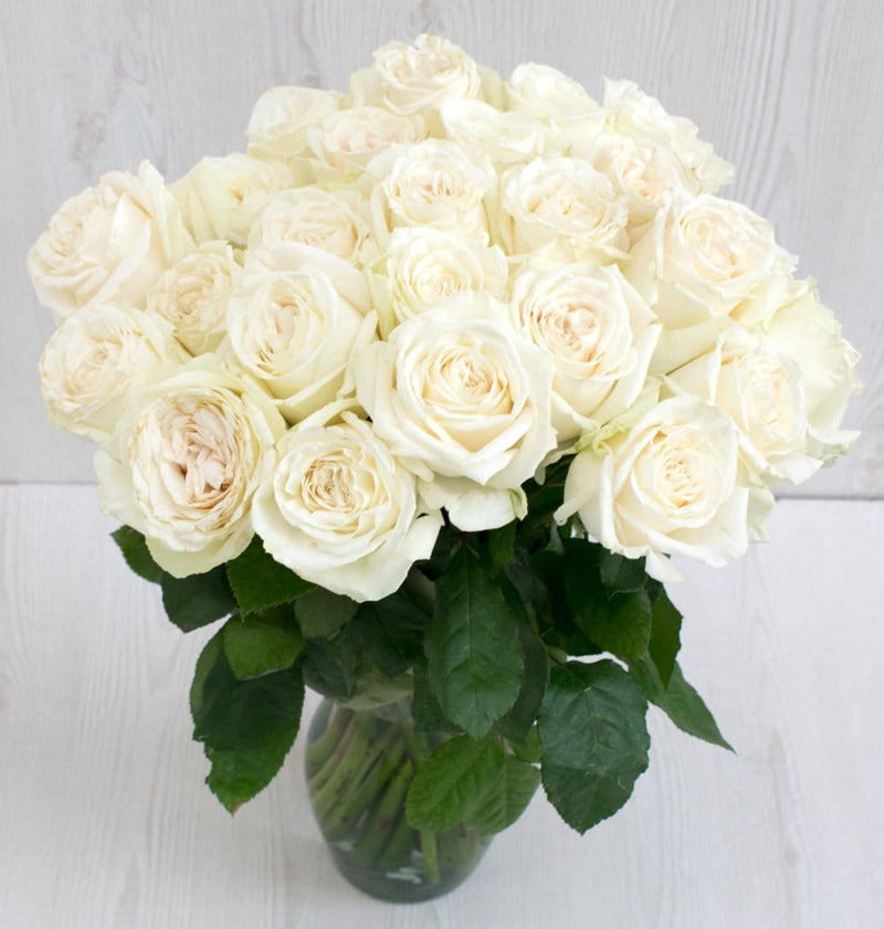 Buy Online High quality and Fresh Playa Blanca - Greenchoice Flowers