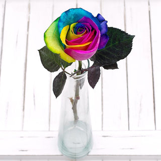 Buy Online High quality and Fresh Tinted Rainbow Roses - Greenchoice Flowers