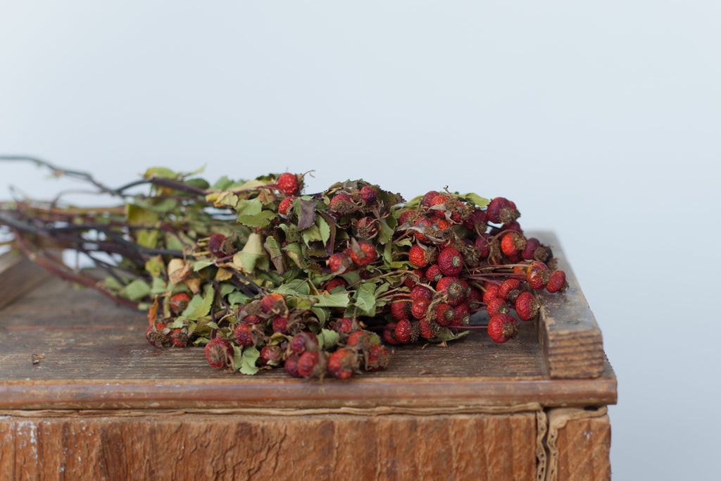 Buy Online High quality and Fresh Rose Hips Natural - Greenchoice Flowers