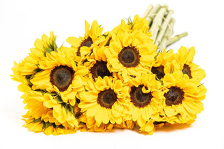 Buy Online High quality and Fresh Sunflowers - Greenchoice Flowers