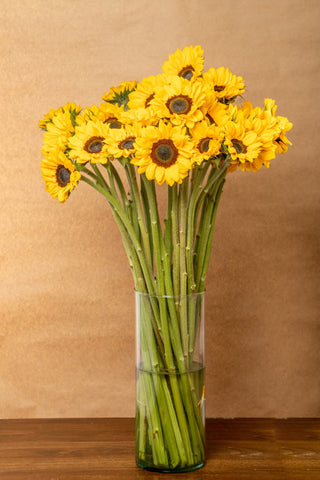 Buy Online High quality and Fresh Sunflowers - Greenchoice Flowers