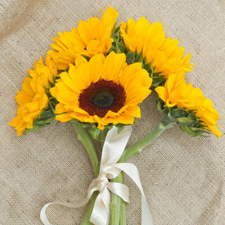 Buy Online High quality and Fresh Sunflowers - Greenchoice Flowers