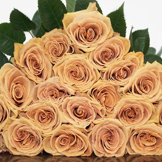 Toffee Wedding Rose - Brown Beige Caramel Cream (Fresh Cut - Wholesale Rose)