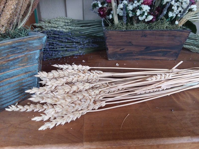 Buy Online High quality and Fresh Wheat Natural - Greenchoice Flowers