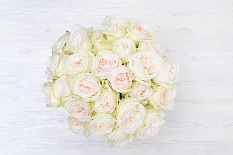 Buy Online High quality and Fresh White O'Hara - Greenchoice Flowers