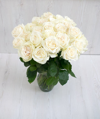 Cream Roses | Fresh Cut Ecuadorian Wedding Wholesale
