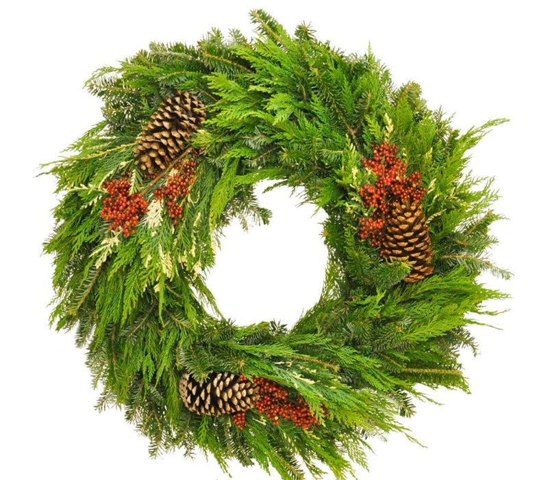 Wreaths Holiday Classic Fresh Cut