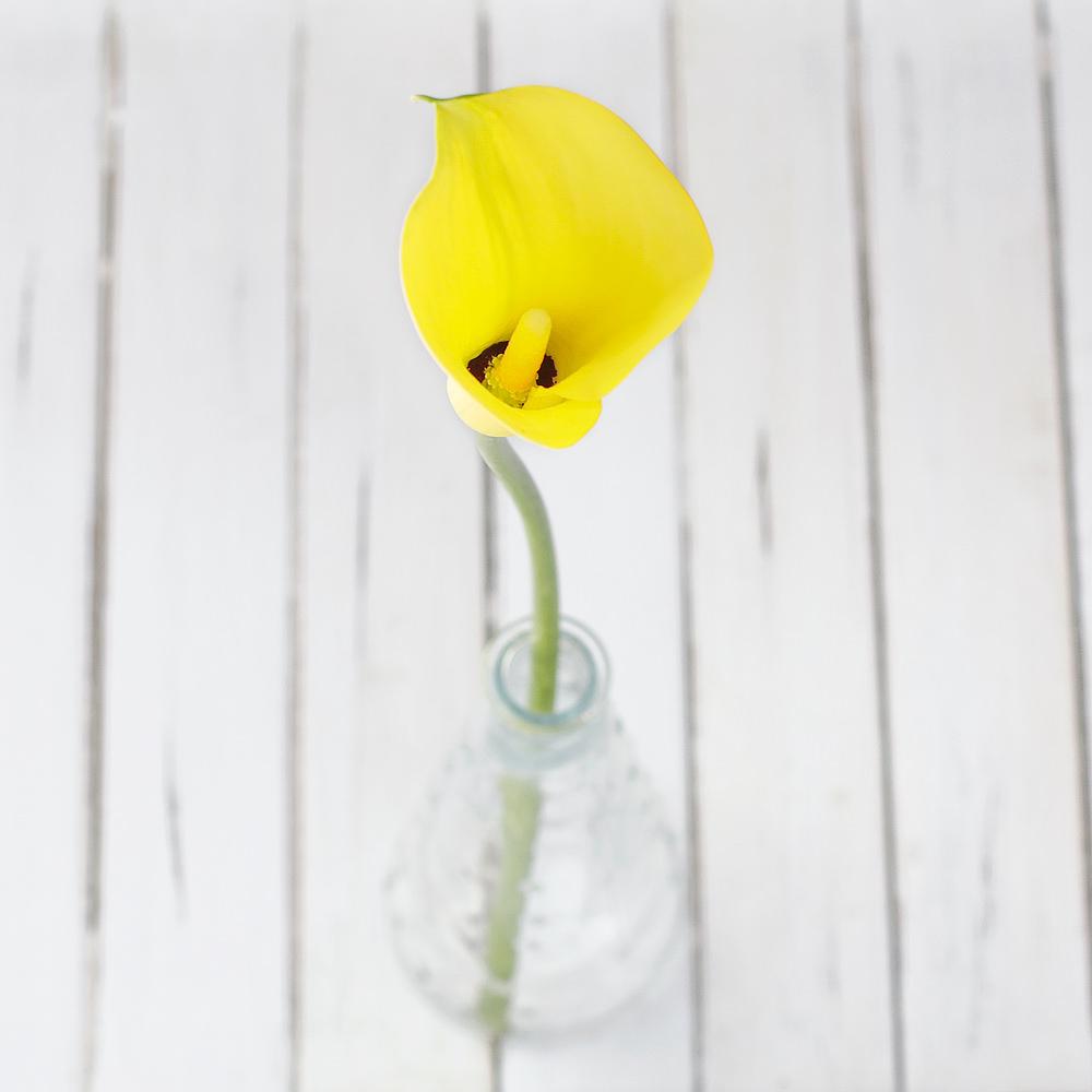 Buy Online High quality and Fresh Yellow Mini Calla - Greenchoice Flowers